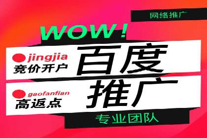 百度平台推广案例：小成本实现大突破
